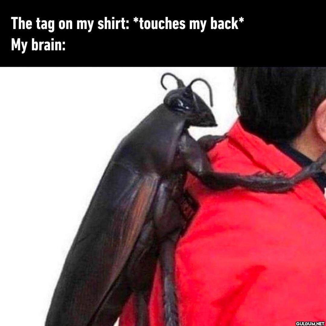 *freaks out*  -...