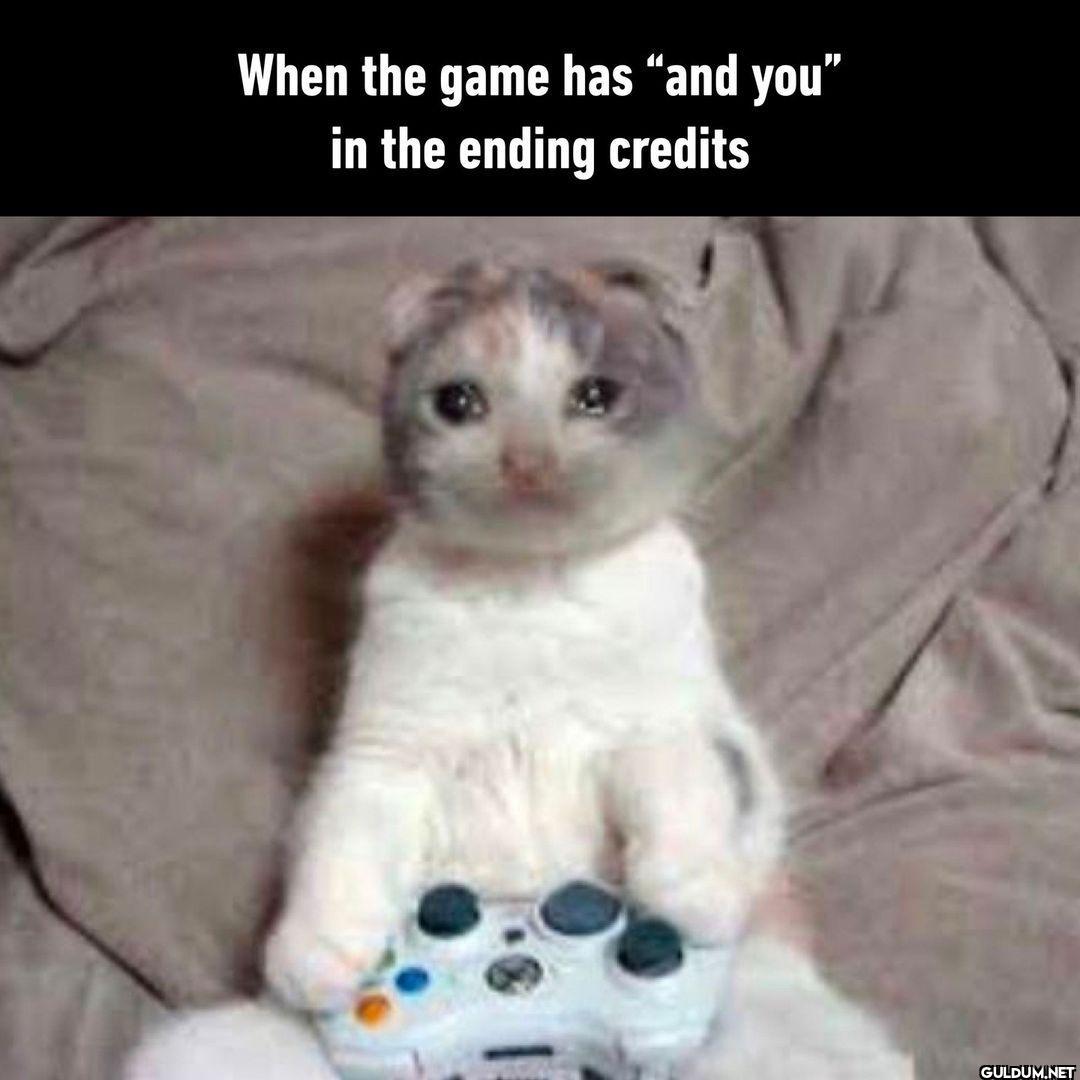 thank you TvT - #gaming...