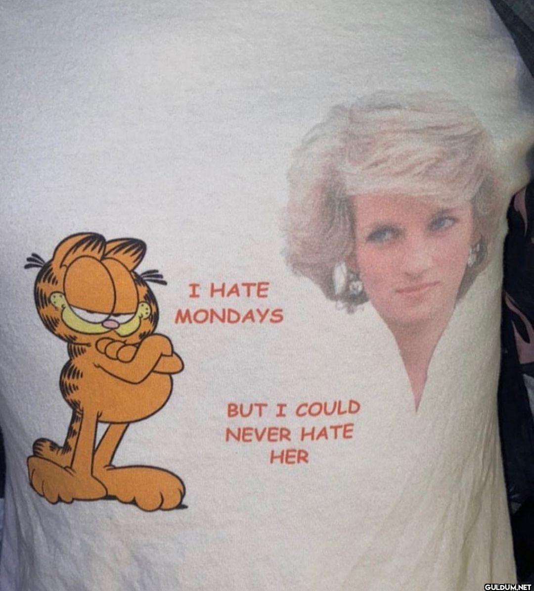 @chaoticshirts   I HATE...