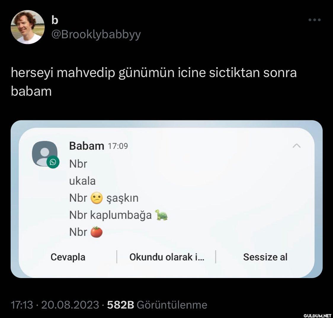 nbr şaşkın   b...