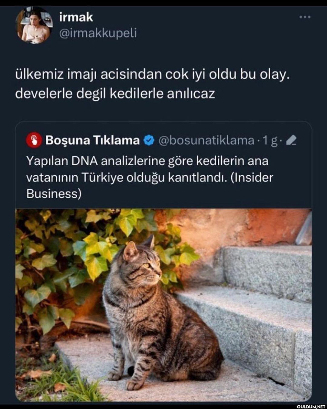 Hiç yoktan iyidir   irmak...