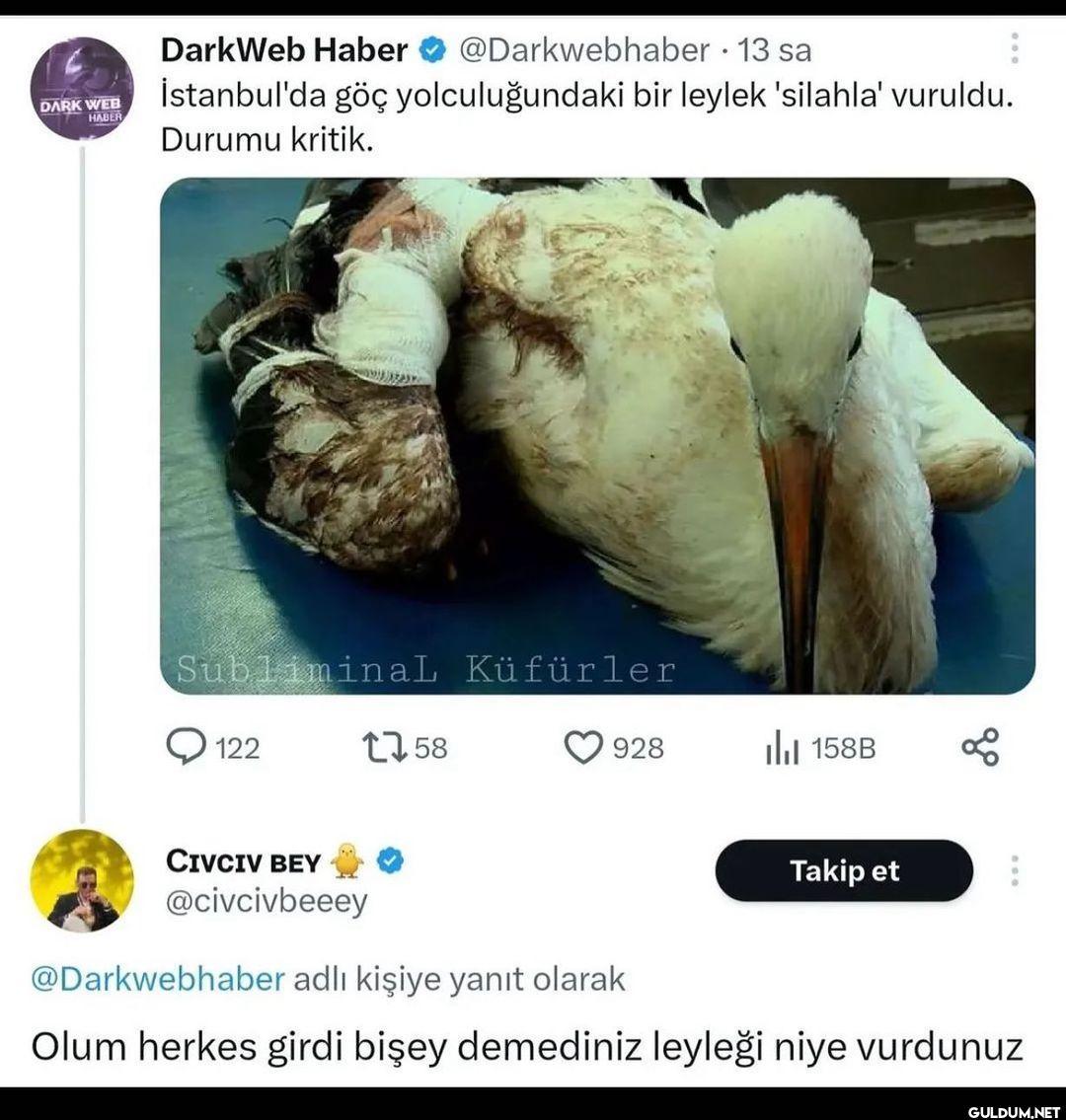 Sınırdan yürüyerek...