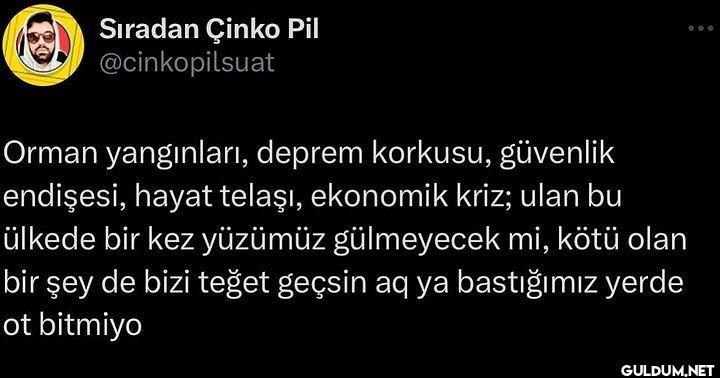 Sıradan Çinko Pil...