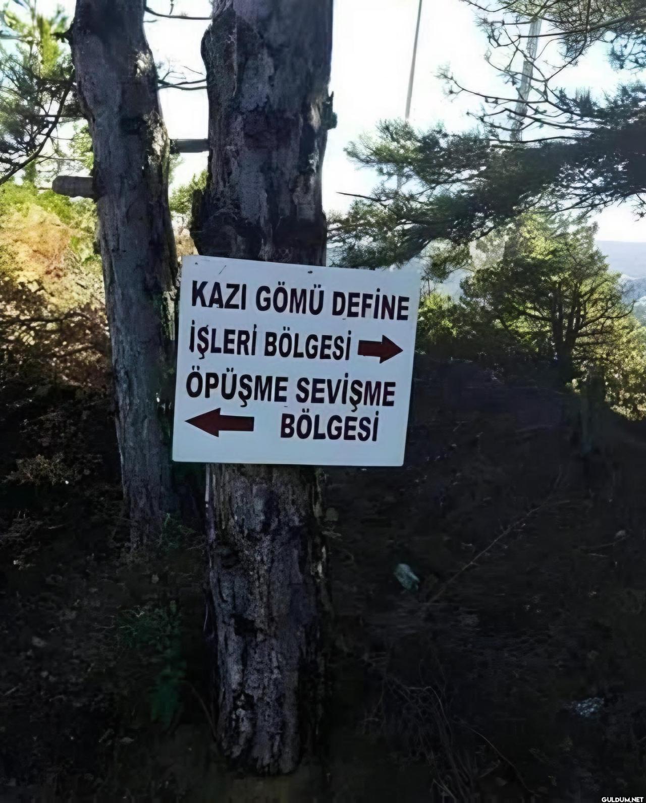 aaa döndüm ki öpüşüyorlar...
