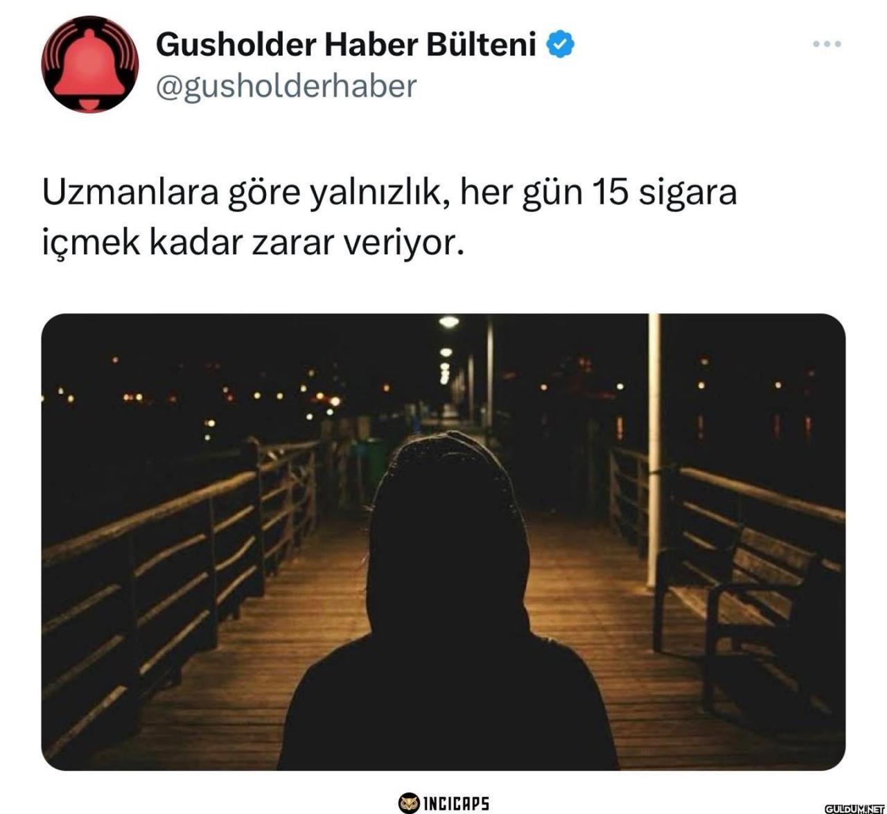 Gusholder Haber Bülteni...