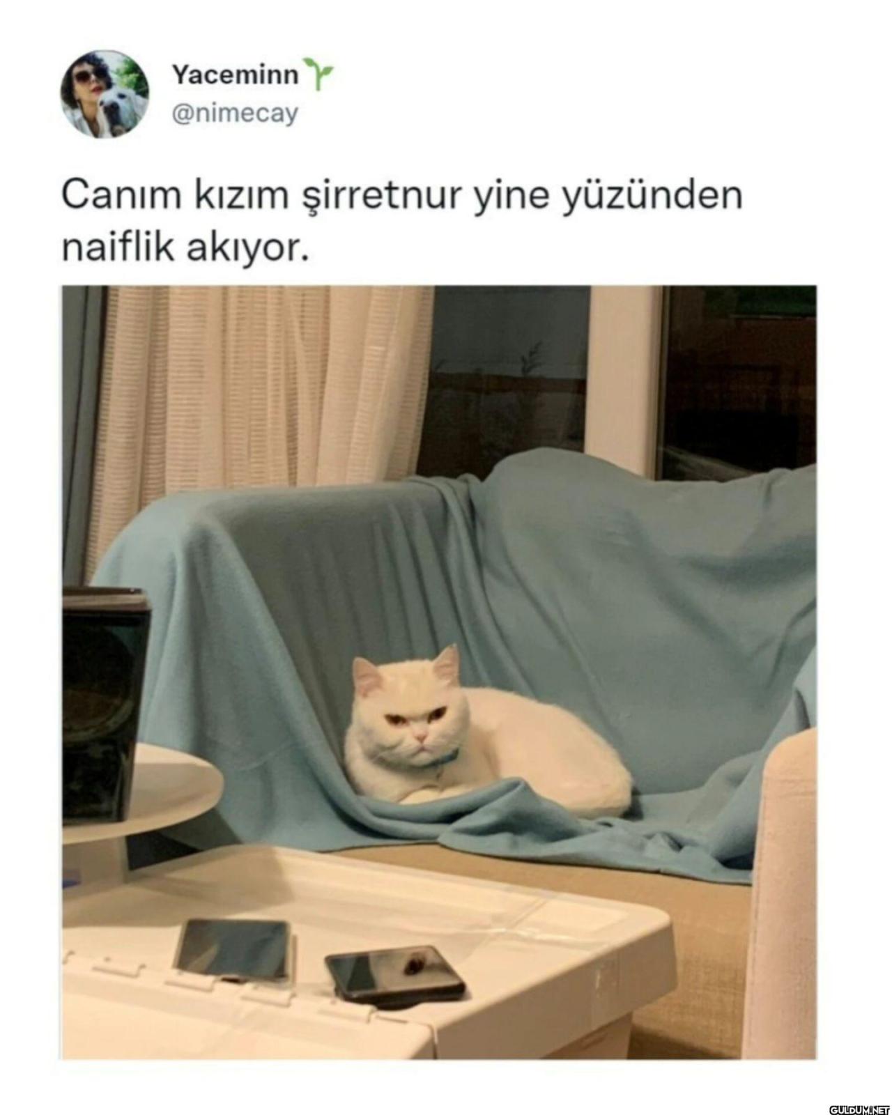 Yaceminn @nimecay Canım...