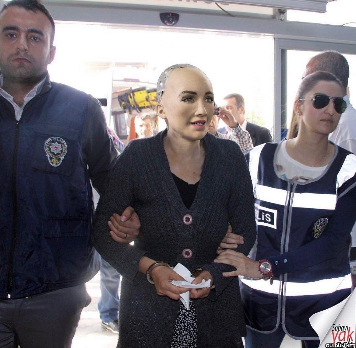 Robot Sofia:...