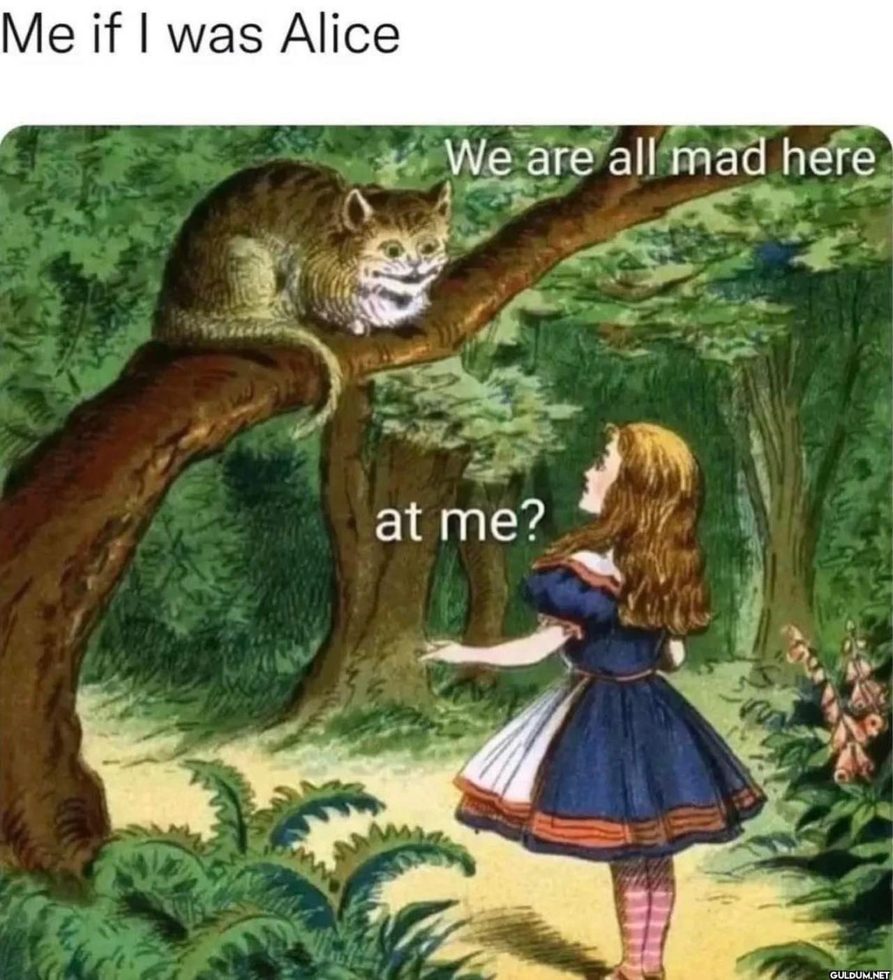 @someones.therapist   Me...