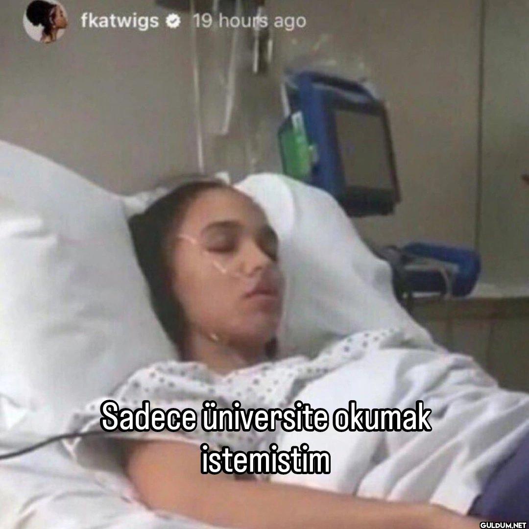 fkatwigs 19 hours ago...
