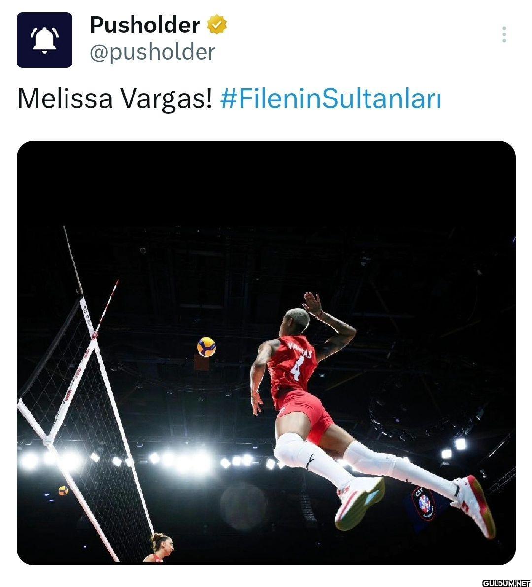 Pusholder @pusholder...