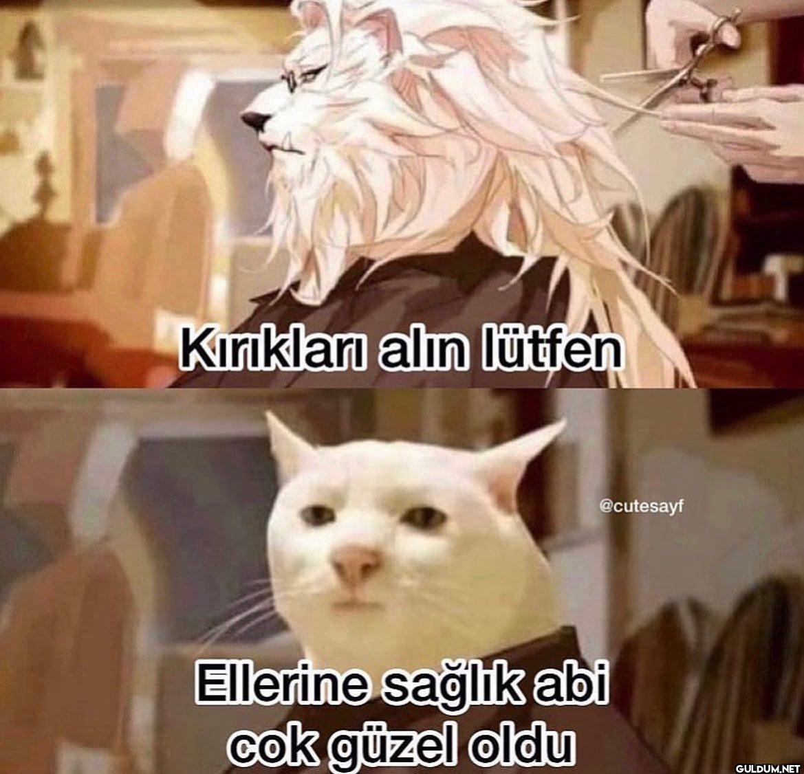 Kırıkları alın lütfen...