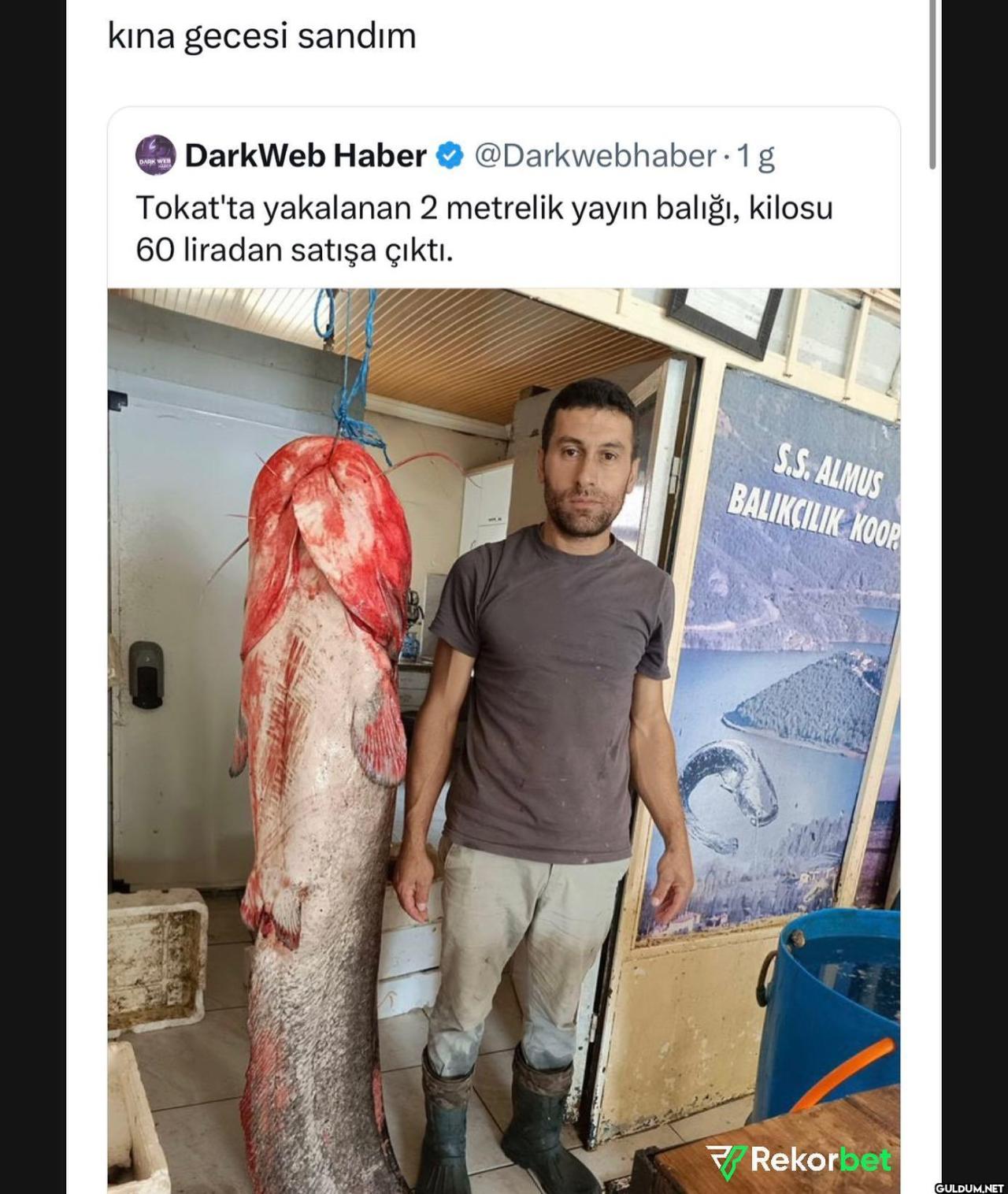 Aksjsjsjsjdk   kına gecesi...