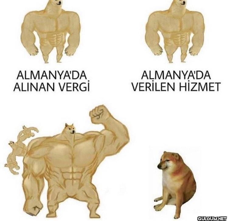 alttakini hayal gücünüze...