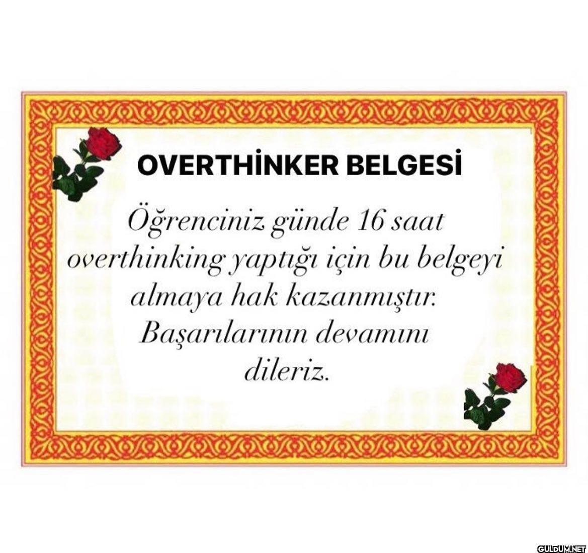 OVERTHINKER BELGESİ...