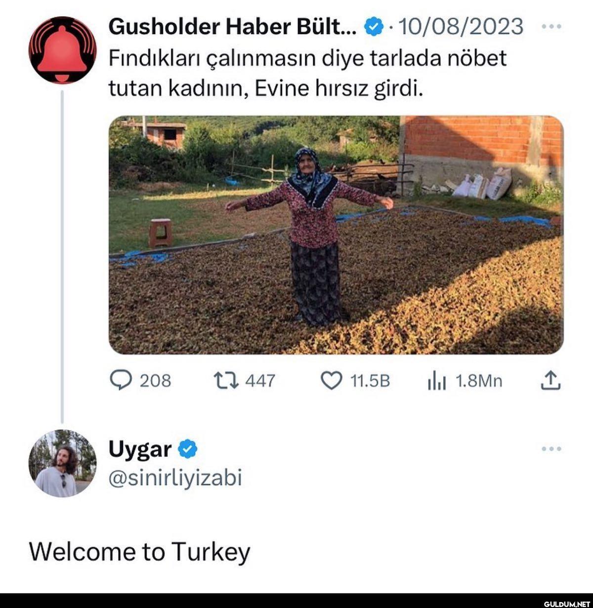 Shshshahhshs   Gusholder...