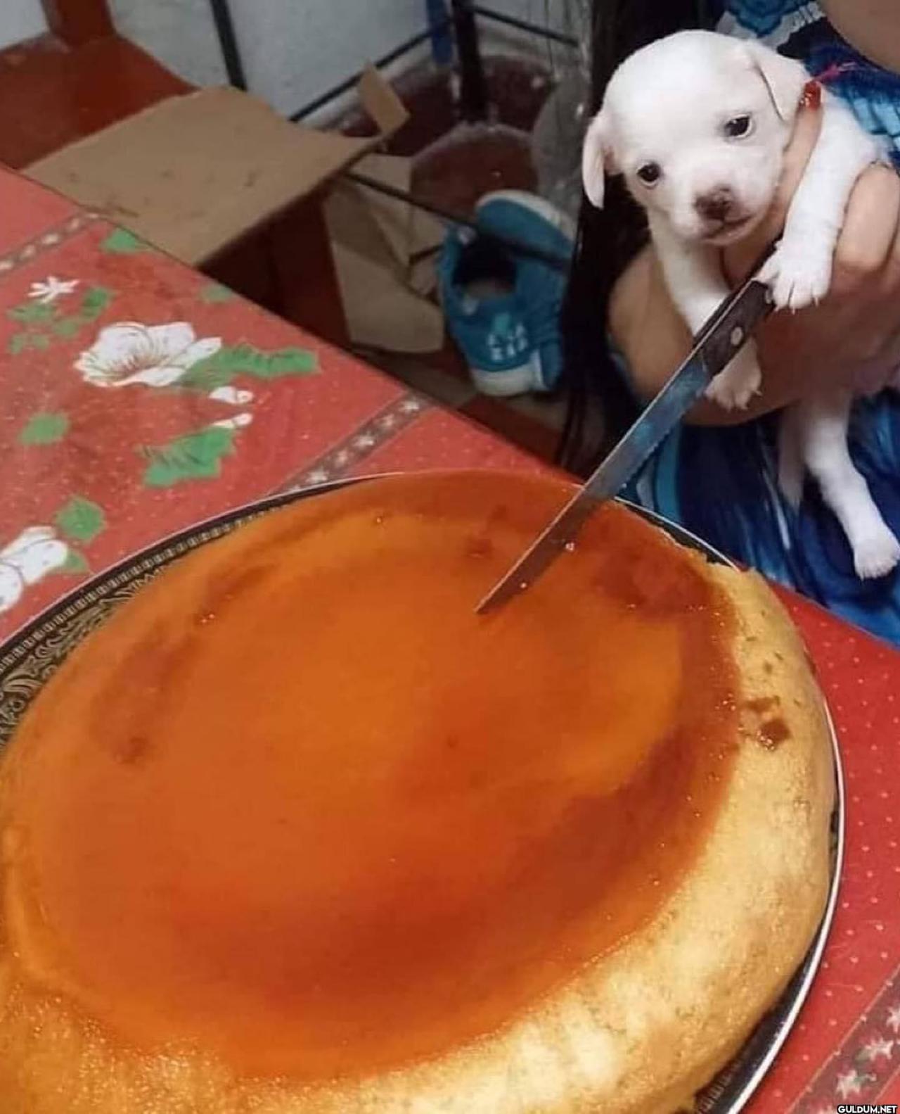 anlamsız fotoğraflar 8993 ...
