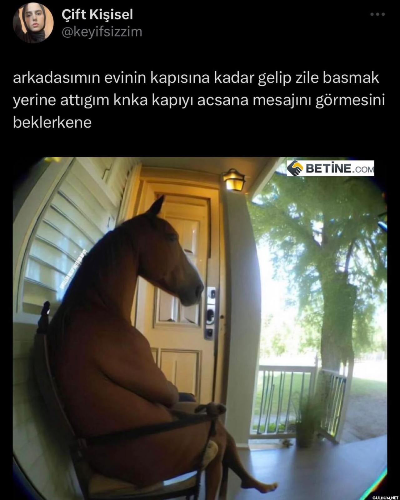 södörmxömeföeöfmeöfmemfmemd...