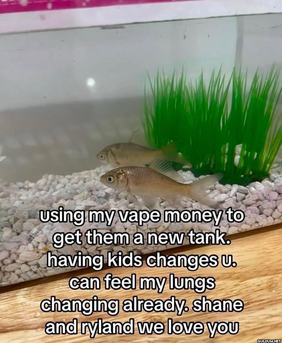 using my vape money to get...