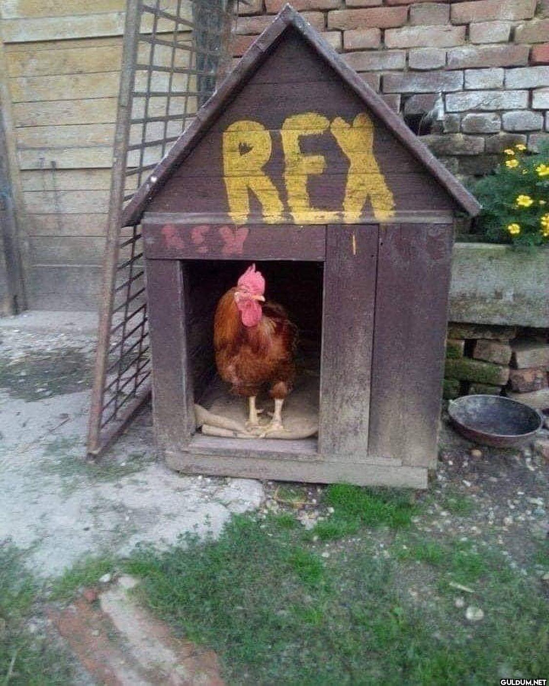 Anlamsız Fotoğraflar on...