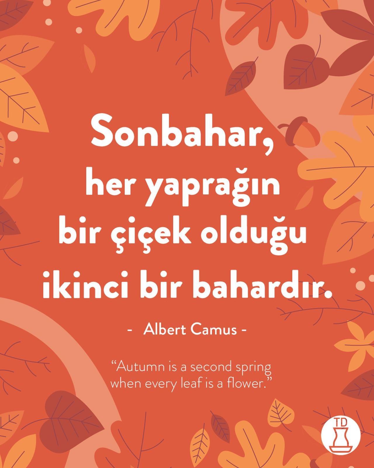 Turkish Dictionary on...