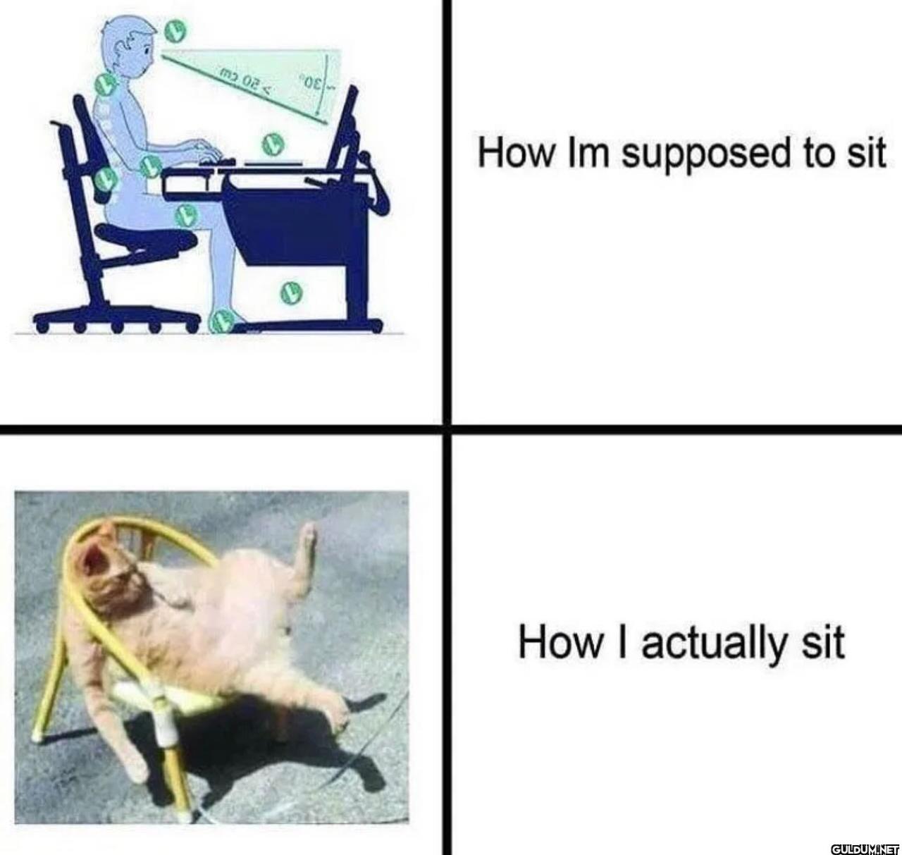 freud.intensifies on...