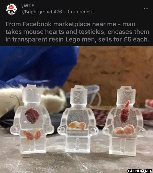 ㅤ    r/WTF...