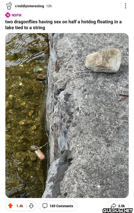r/mildlyinteresting 12h...