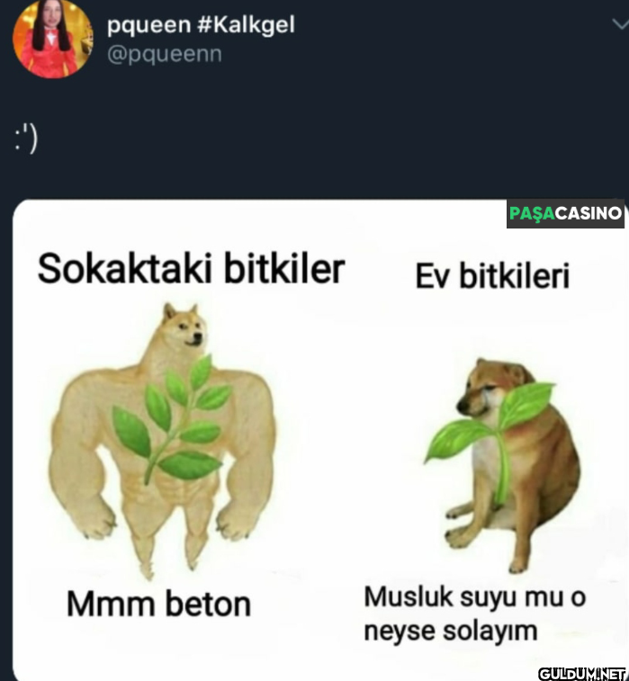 Sokaktaki bitkiler Mmm...