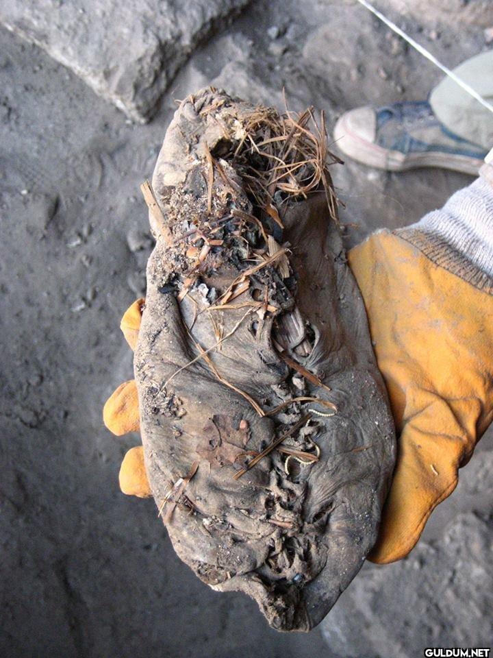 12. This is the oldest...