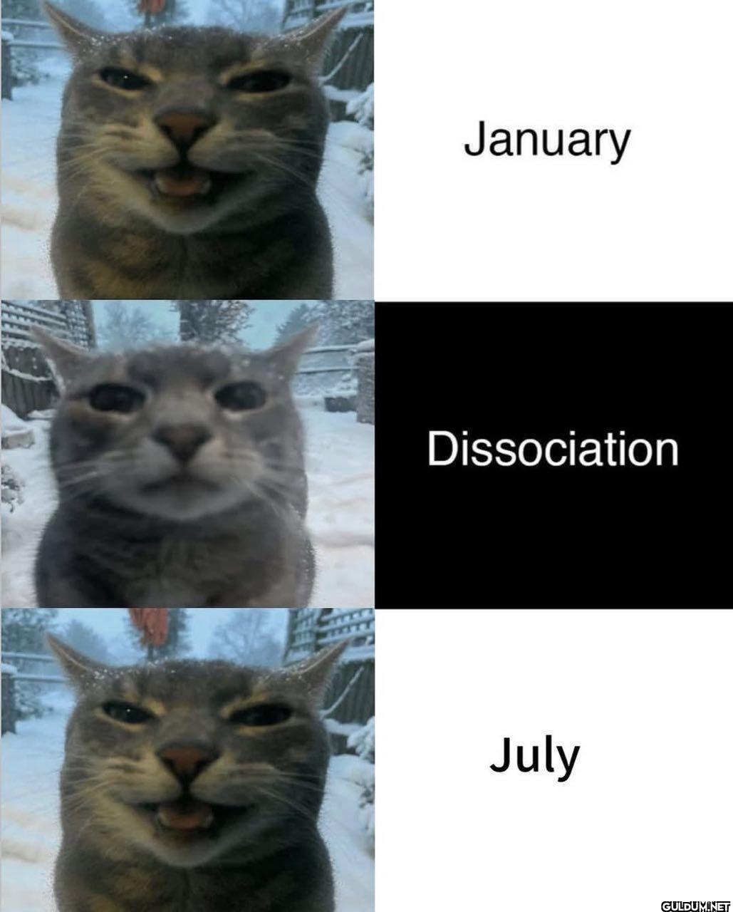 January Dissociation July
