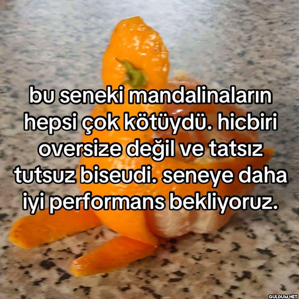 bu seneki mandalinaların...