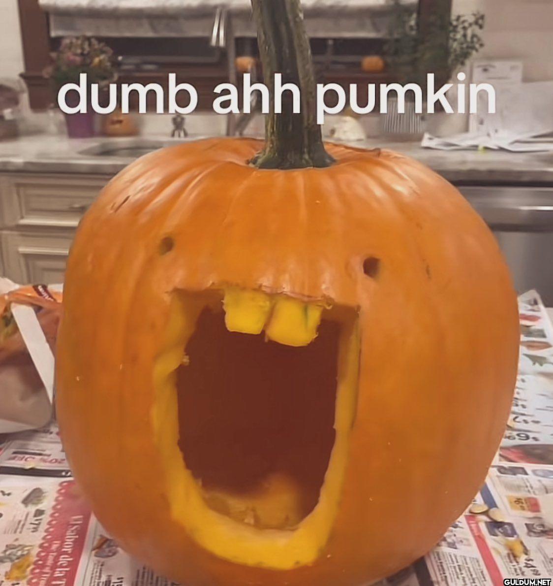 dumb ahh pumkin