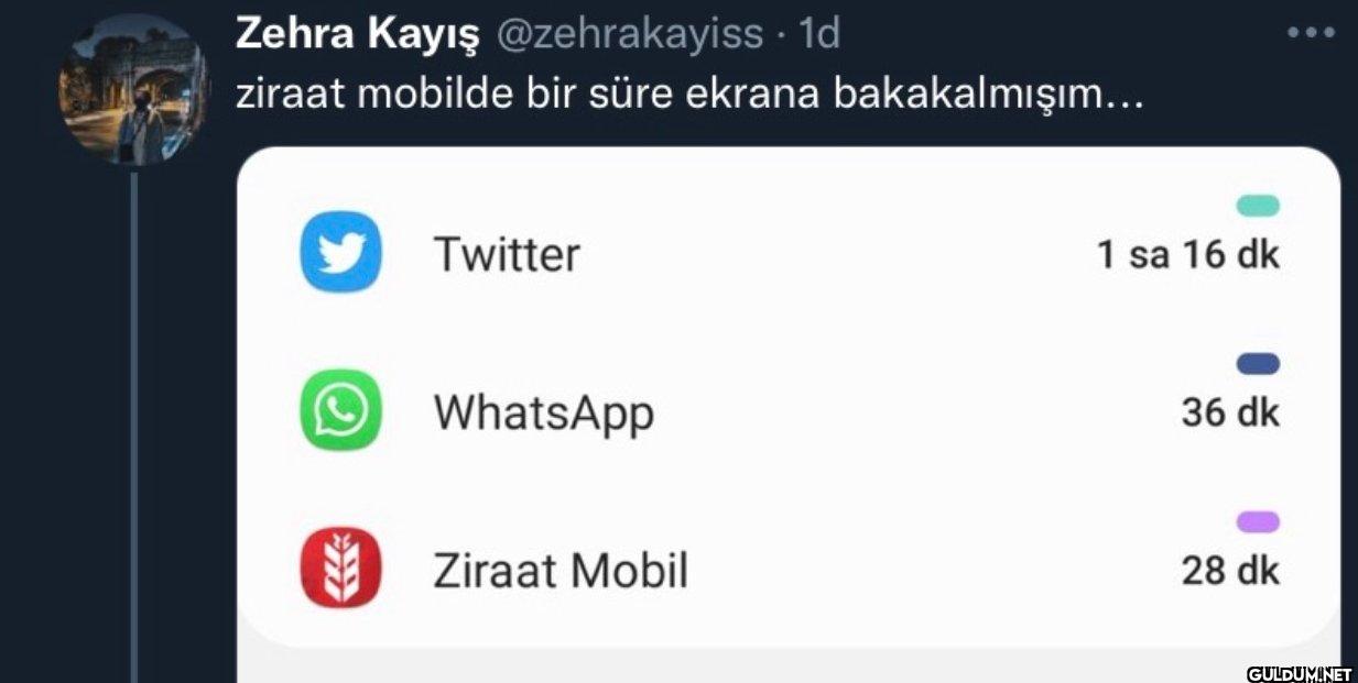 1d ziraat mobilde bir süre...