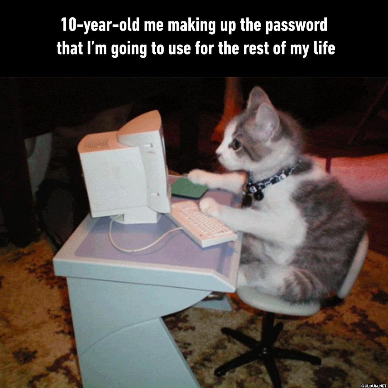 9GAG: Go Fun The World on...