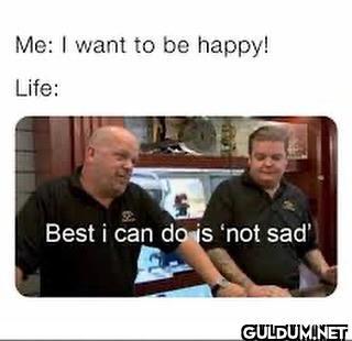 freud.intensifies on...
