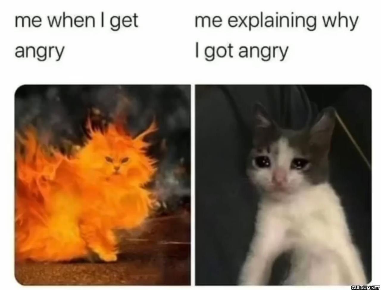 freud.intensifies on...