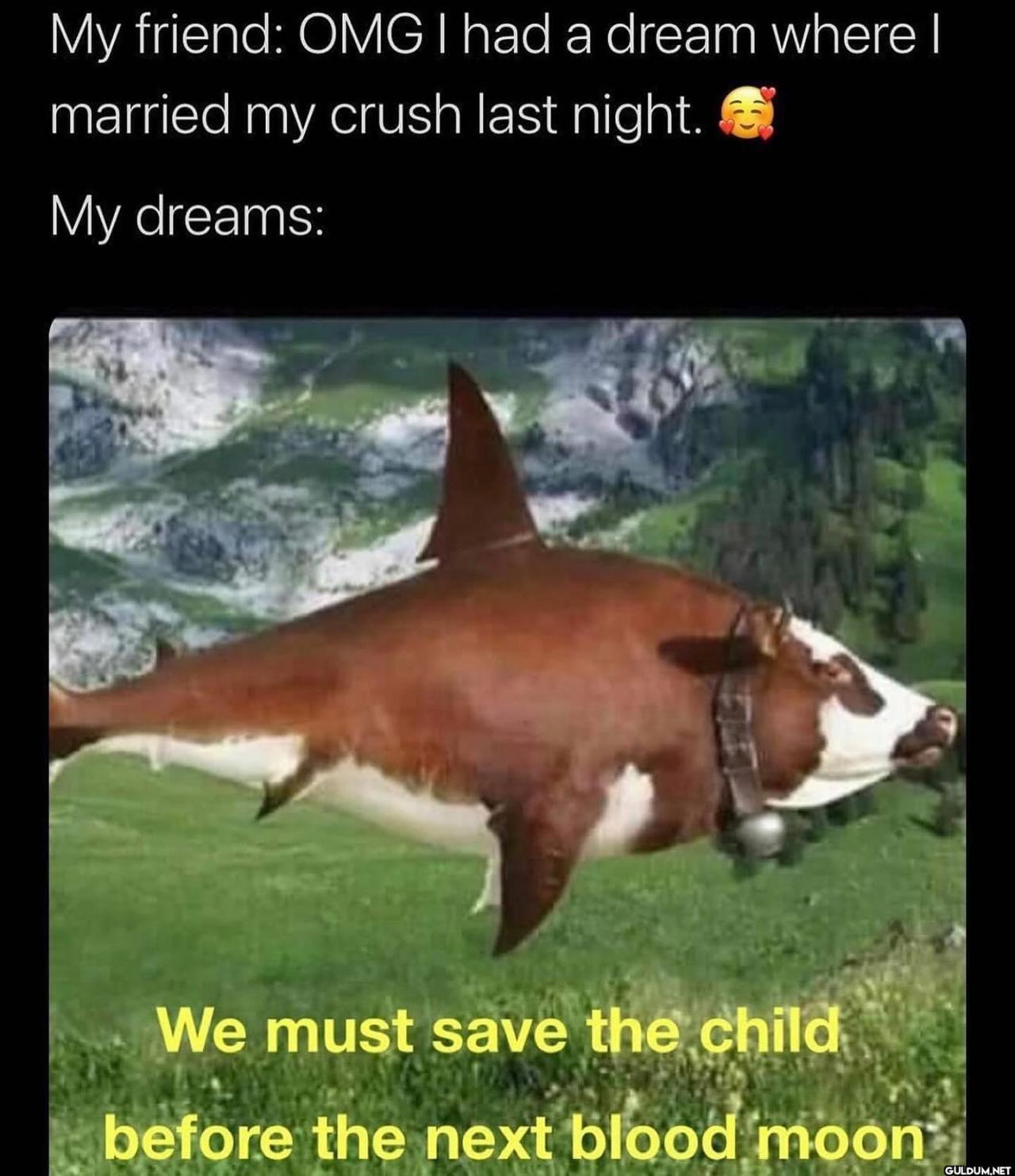 freud.intensifies on...