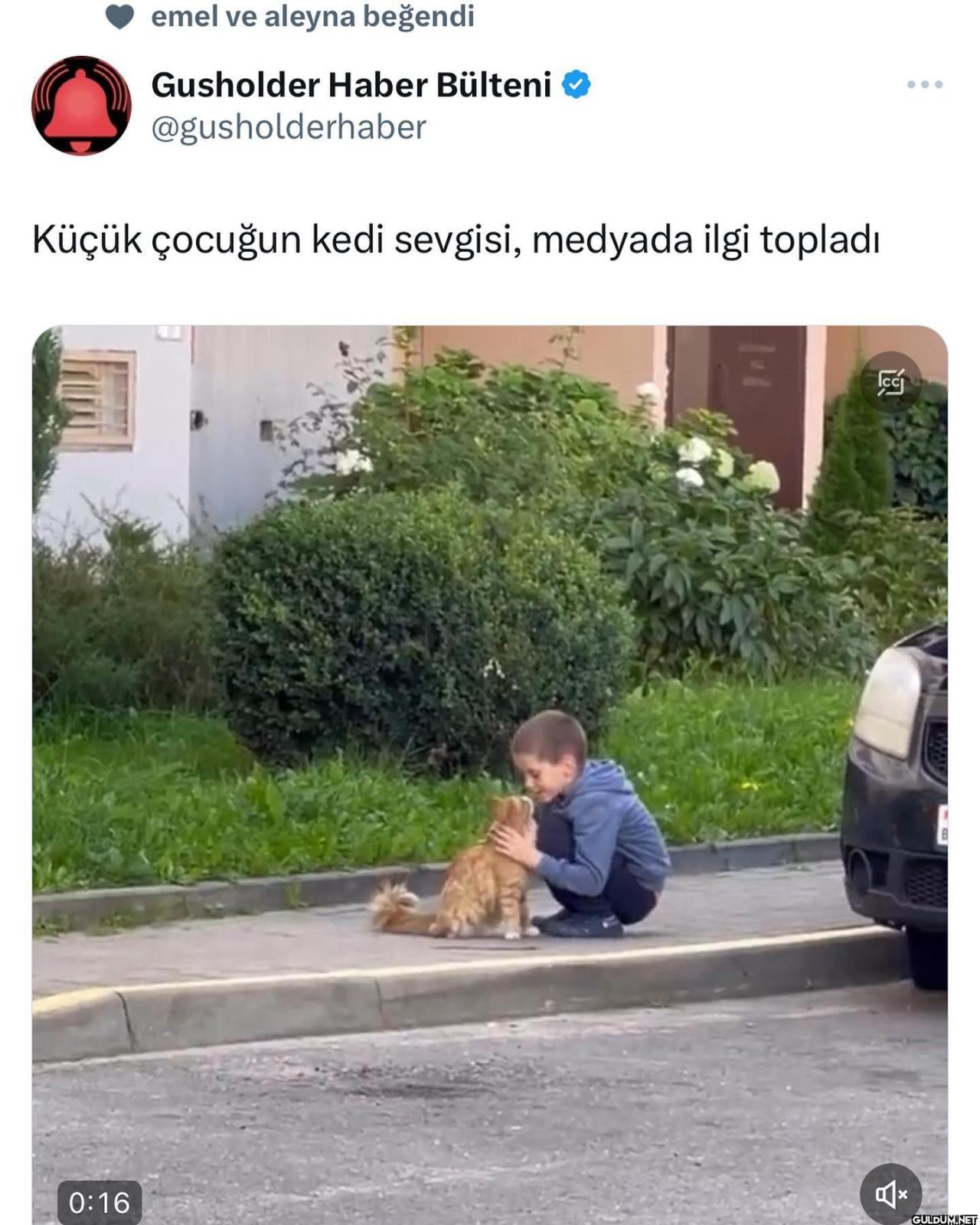 emel ve aleyna beğendi...