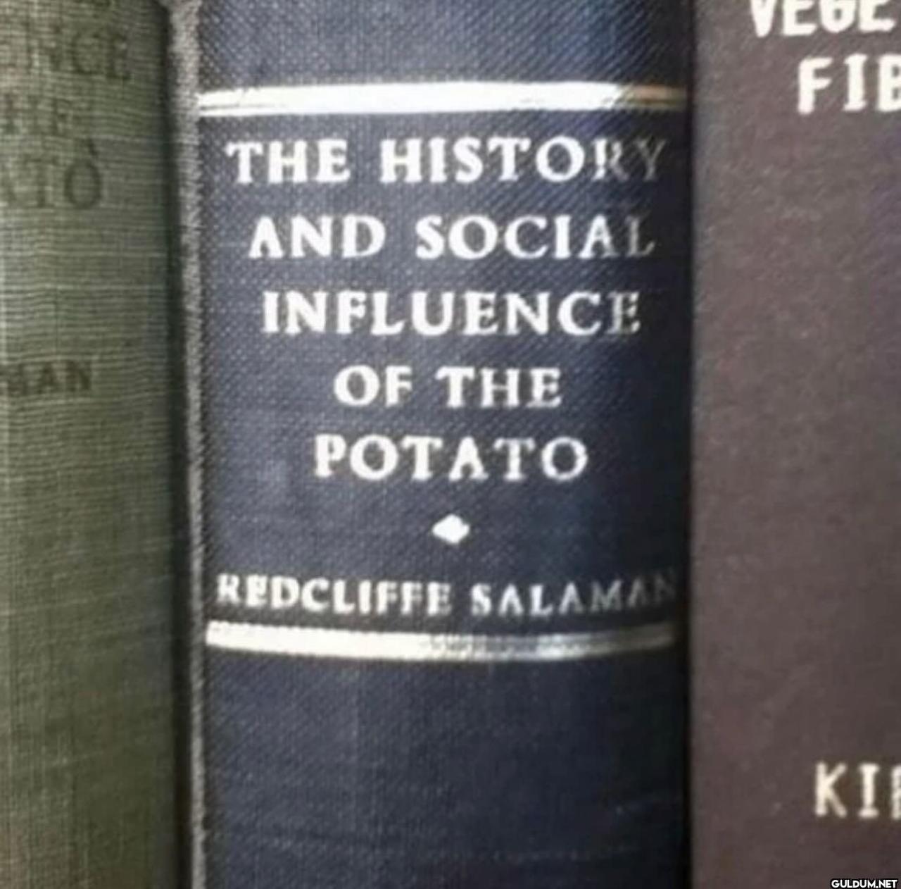 freud.intensifies on...