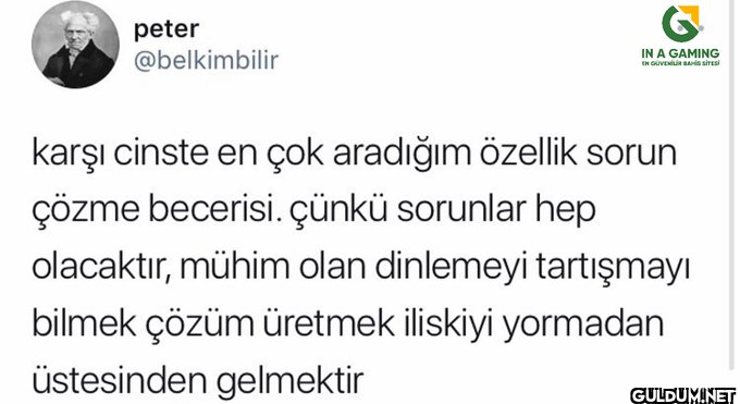 peter @belkimbilir IN A...