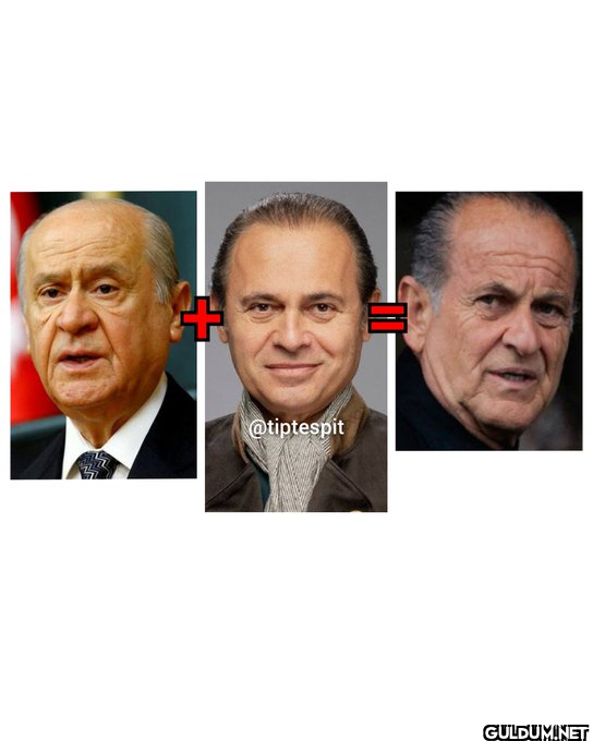 Devlet Bahçeli + Ayhan...