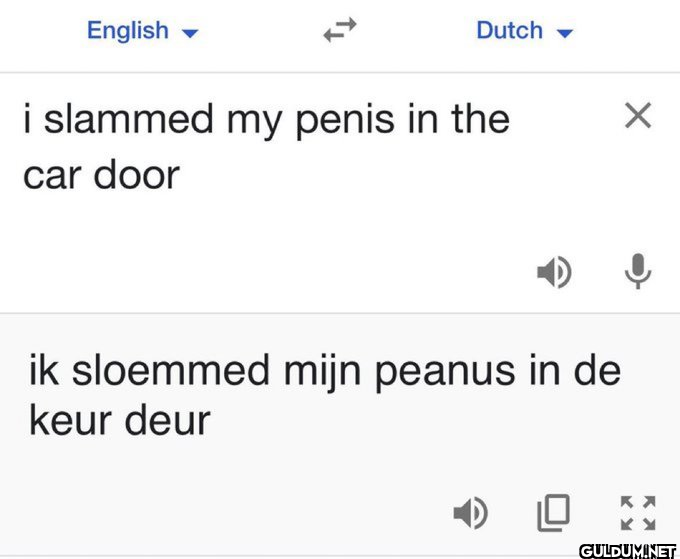 Dutch cannot be real  ...