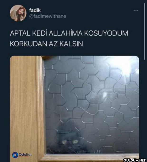 fadik @fadimewithane APTAL...