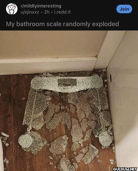 r/mildlyinteresting...