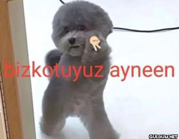 izkotuyuz ayneen   Kaynak