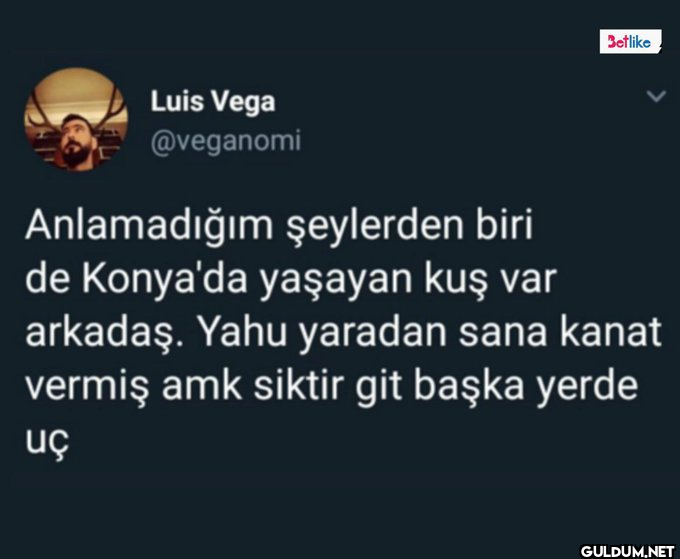 Luis Vega @veganomi...