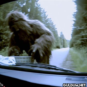 Dashcam footage of...