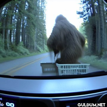 Dashcam footage of...