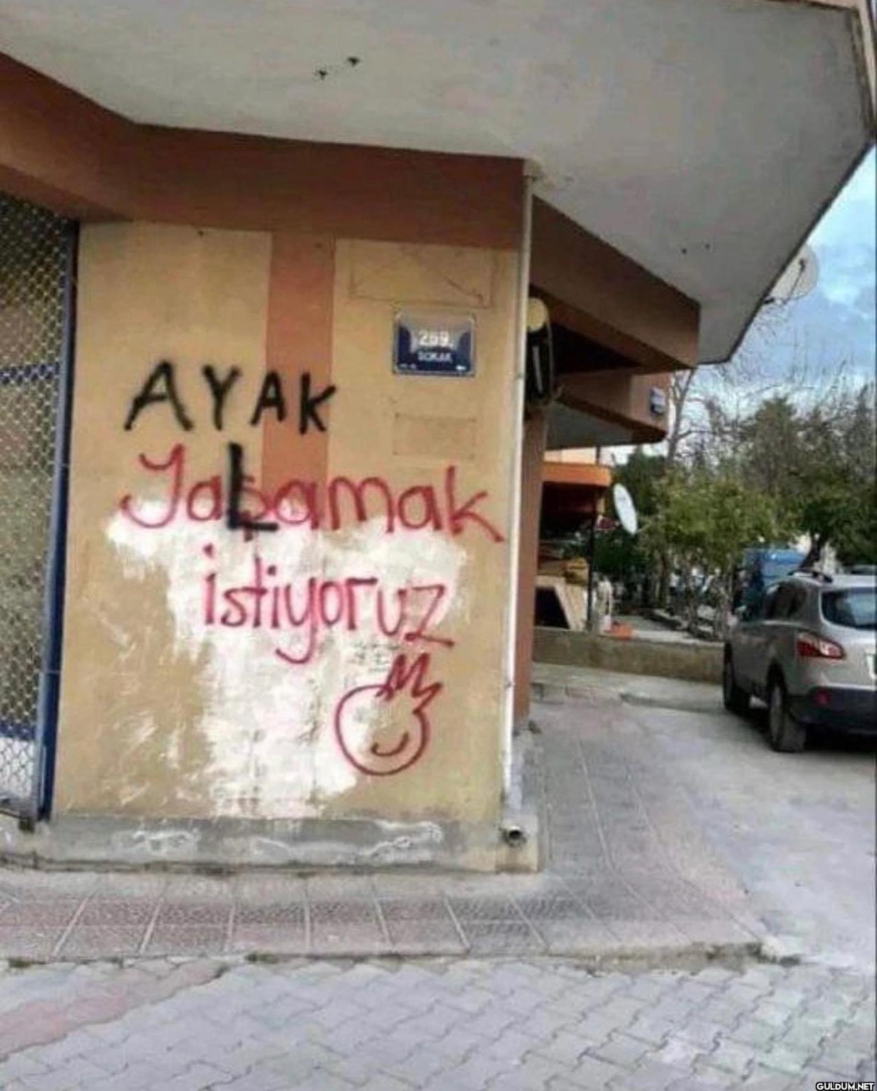 undefined   269. AYAK...