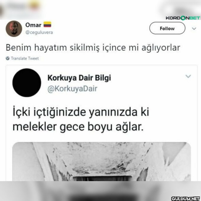 Omar @ceguluvera Korkuya...